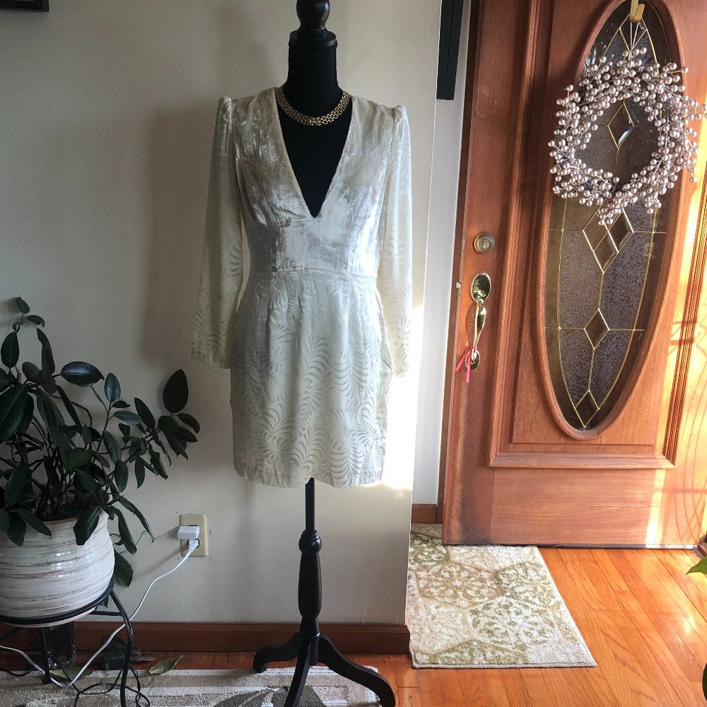 Free People Naomi Long Sleeve Velvet Dress NWT